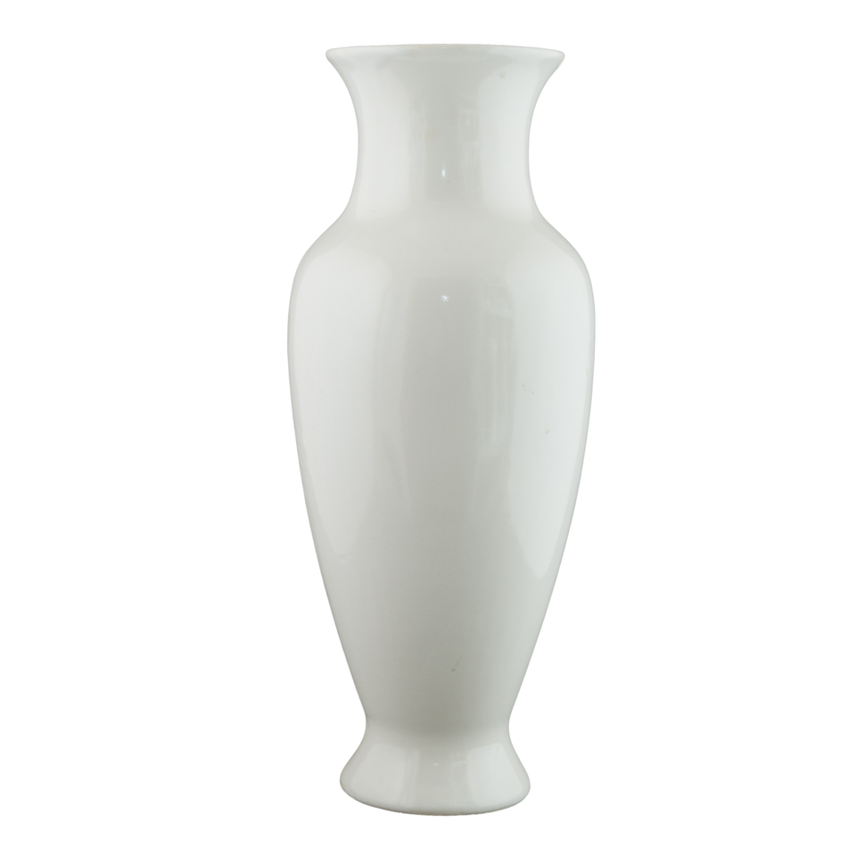 Elegant Large Vase for Your Interior Decoration